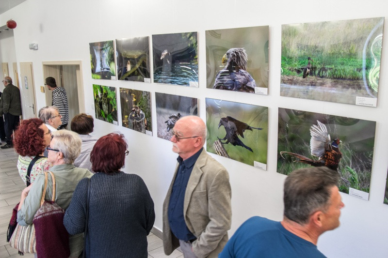 Świat zwierzęcy Puszczy Wkrzańskiej – wystawa w Zalesiu