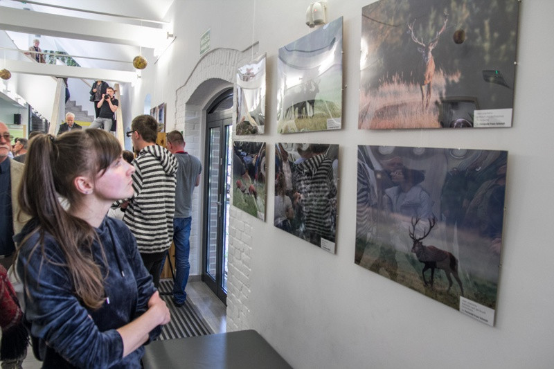 Świat zwierzęcy Puszczy Wkrzańskiej – wystawa w Zalesiu