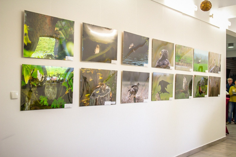 Świat zwierzęcy Puszczy Wkrzańskiej – wystawa w Zalesiu