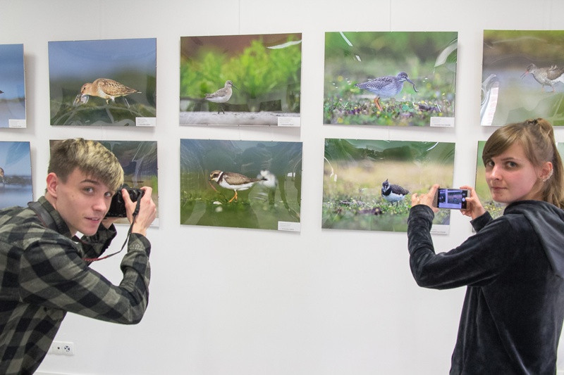 Świat zwierzęcy Puszczy Wkrzańskiej – wystawa w Zalesiu