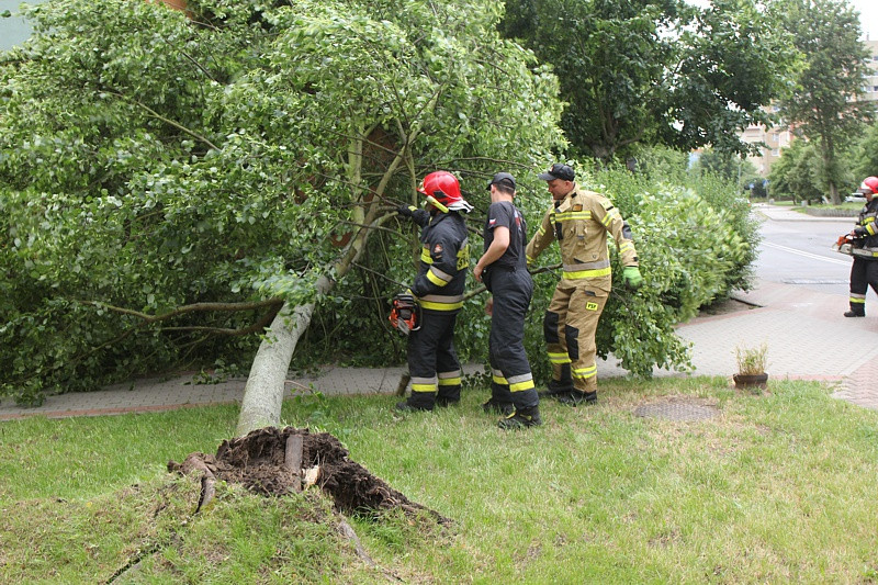 Strażacy usuwali skutki wichury w Policach