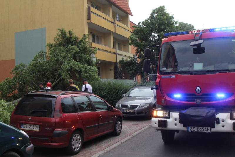 Strażacy usuwali skutki wichury w Policach