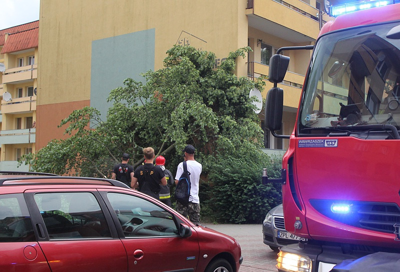 Strażacy usuwali skutki wichury w Policach