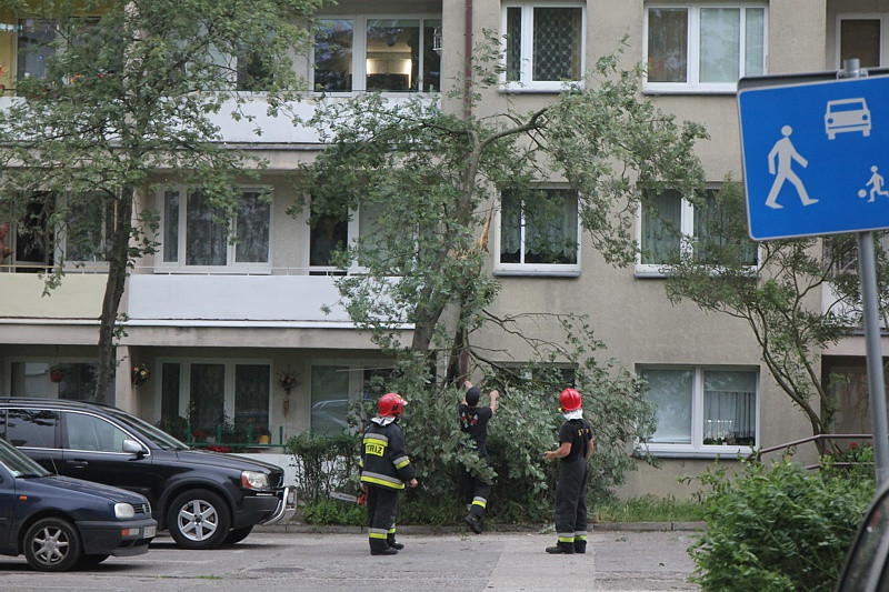 Strażacy usuwali skutki wichury w Policach