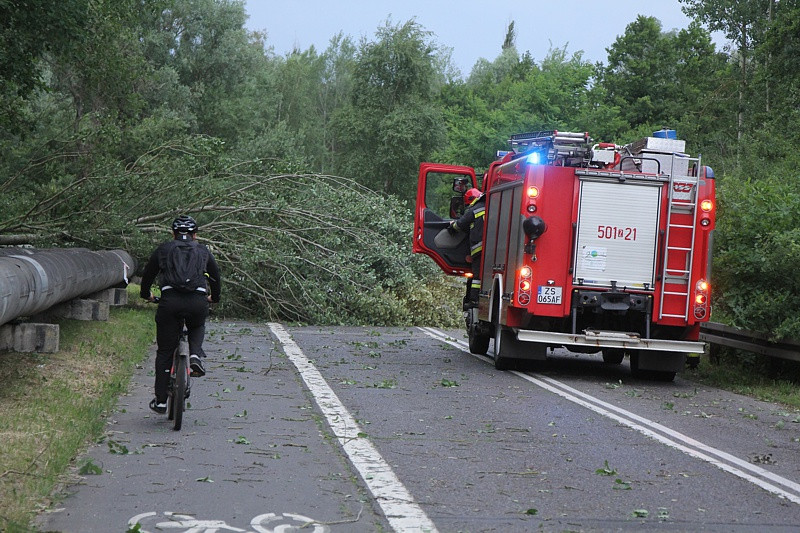 Strażacy usuwali skutki wichury w Policach