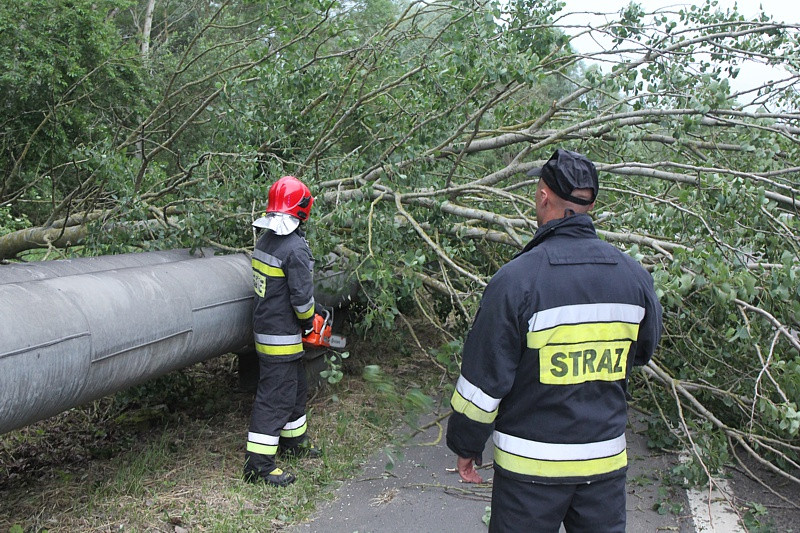 Strażacy usuwali skutki wichury w Policach