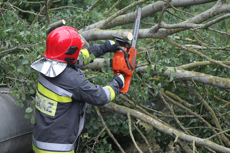 Strażacy usuwali skutki wichury w Policach