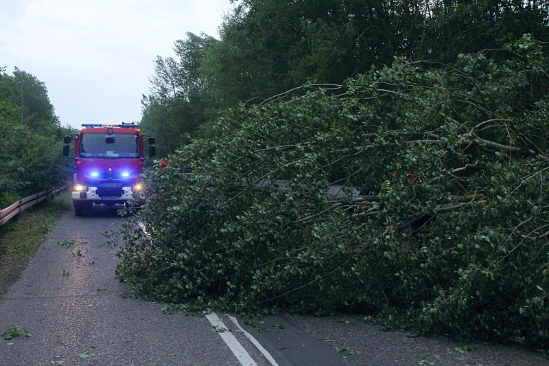 Strażacy usuwali skutki wichury w Policach