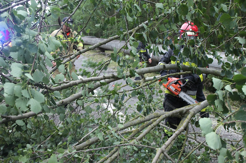 Strażacy usuwali skutki wichury w Policach