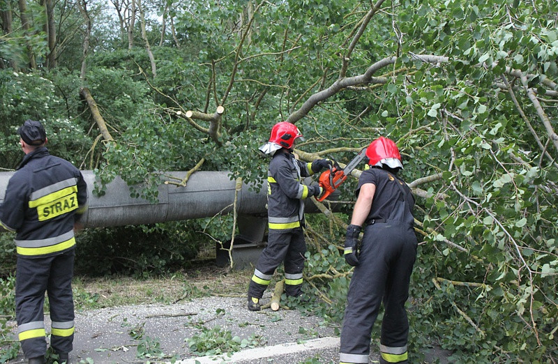 Strażacy usuwali skutki wichury w Policach