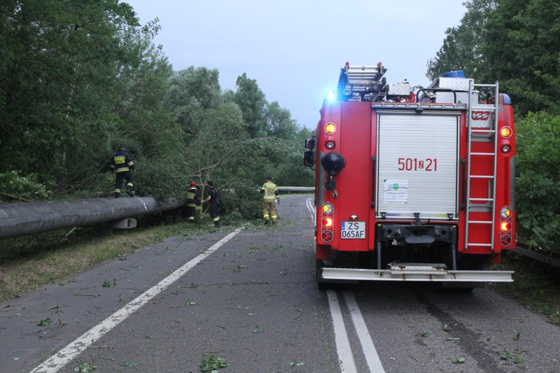 Strażacy usuwali skutki wichury w Policach