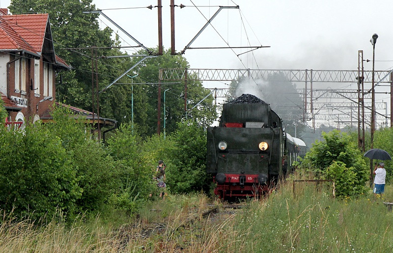 Parowozem do stacji Trzebież Szczeciński