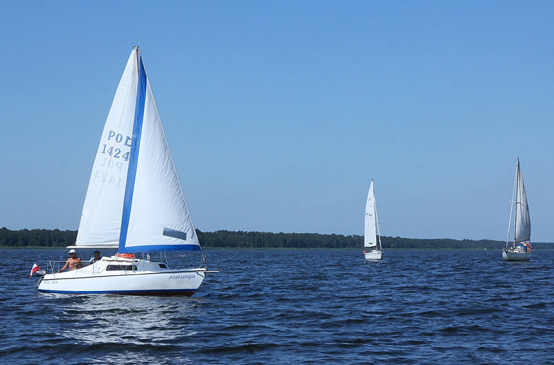 VIII Towarzyskie Regaty