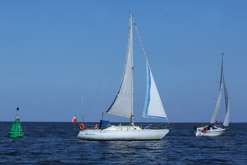 VIII Towarzyskie Regaty