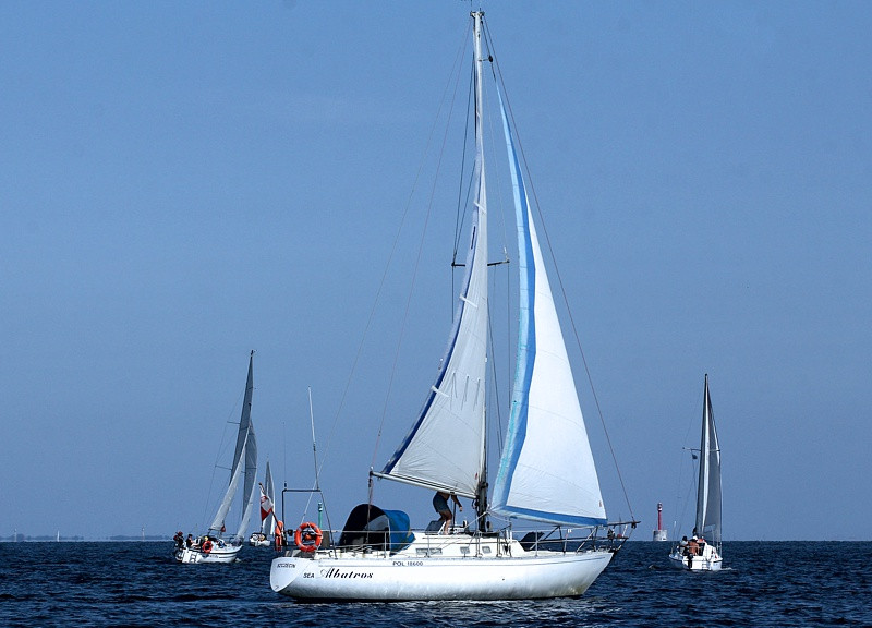 VIII Towarzyskie Regaty