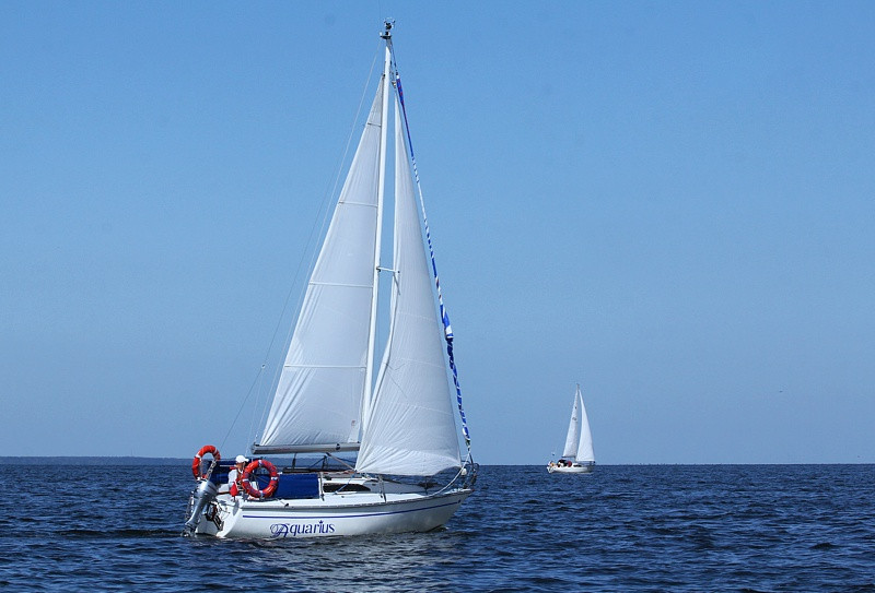 VIII Towarzyskie Regaty