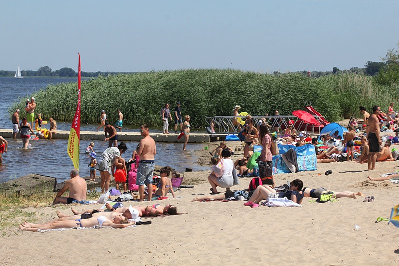 Czas na EkoTrzebież w obiektywie