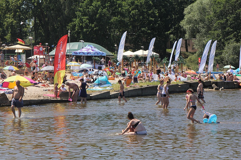 Czas na EkoTrzebież w obiektywie