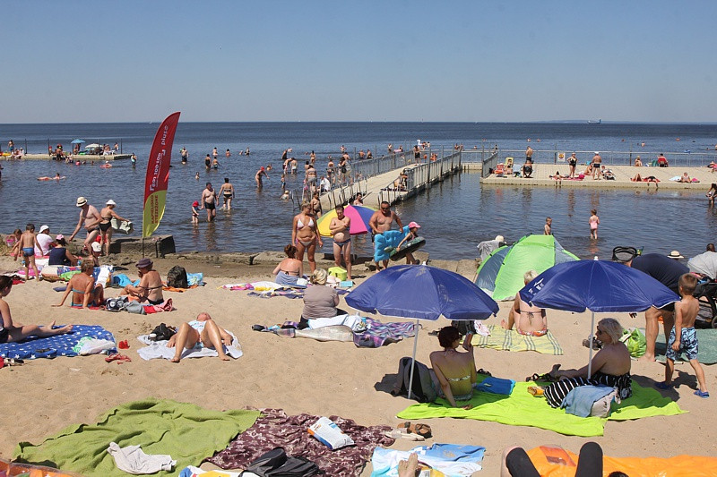 Czas na EkoTrzebież w obiektywie