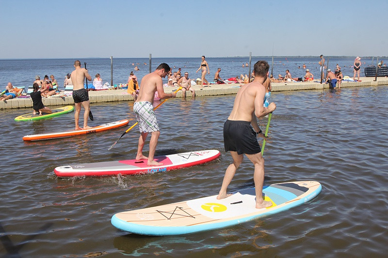 Czas na EkoTrzebież w obiektywie