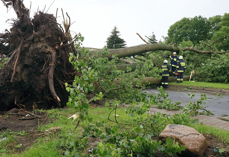 Trwa usuwanie skutków burzy [foto]