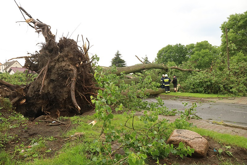 Trwa usuwanie skutków burzy [foto]