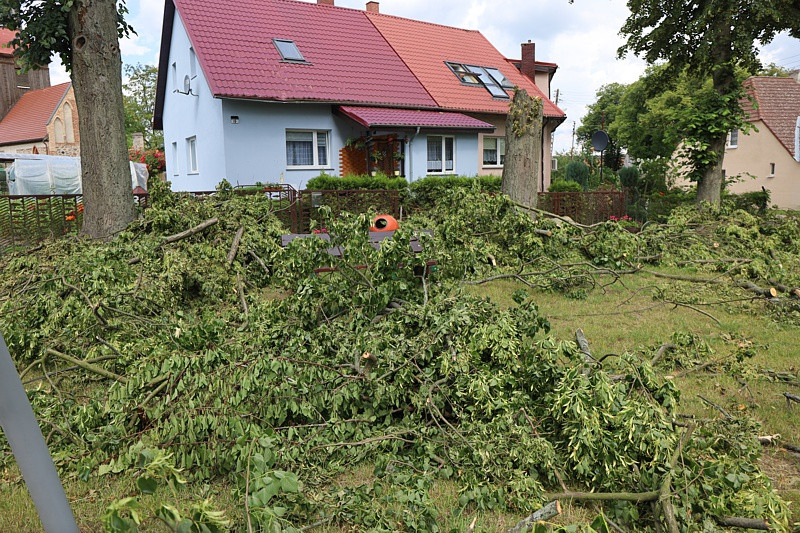 Krajobraz po burzy w Przęsocinie [foto]