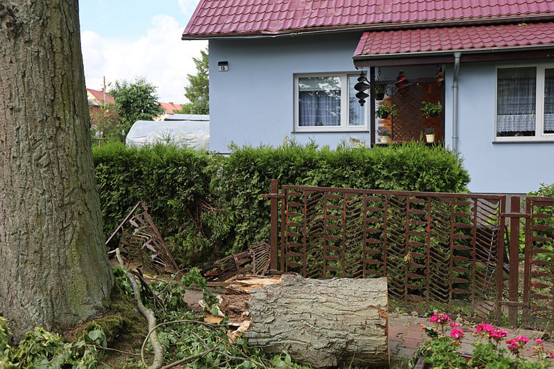 Krajobraz po burzy w Przęsocinie [foto]