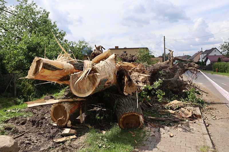 Krajobraz po burzy w Przęsocinie [foto]