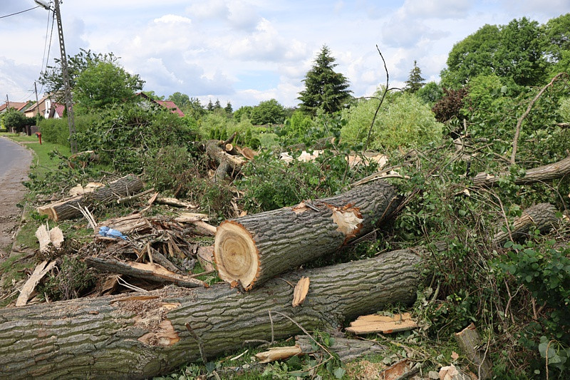 Krajobraz po burzy w Przęsocinie [foto]