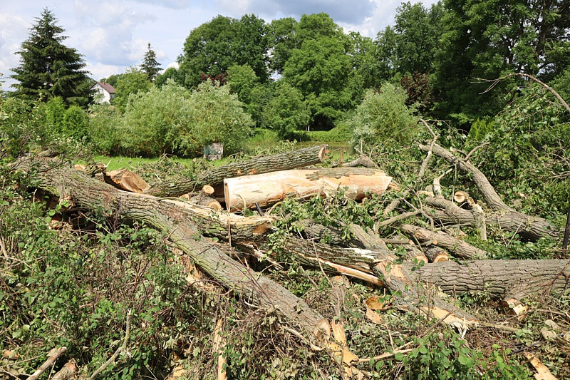 Krajobraz po burzy w Przęsocinie [foto]