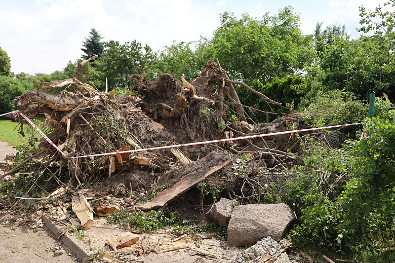 Krajobraz po burzy w Przęsocinie [foto]
