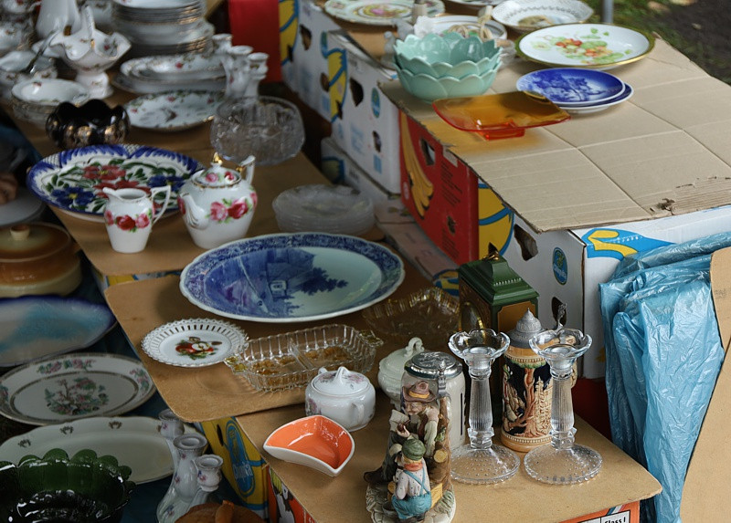 Pchli Targ w Niekłończycy [foto]