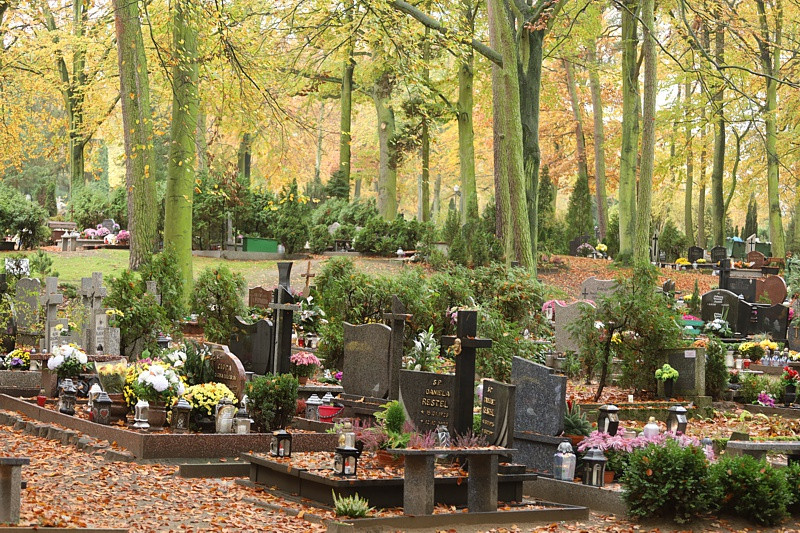 Wszystkich Świętych i puste cmentarze [foto]