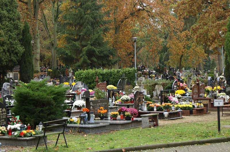 Wszystkich Świętych i puste cmentarze [foto]