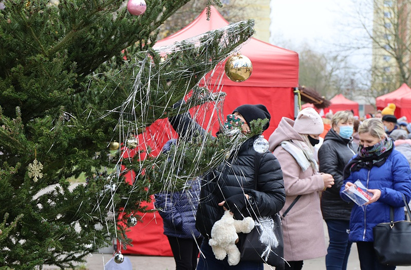 Bombki #bohaterskaInga zawisły na choince
