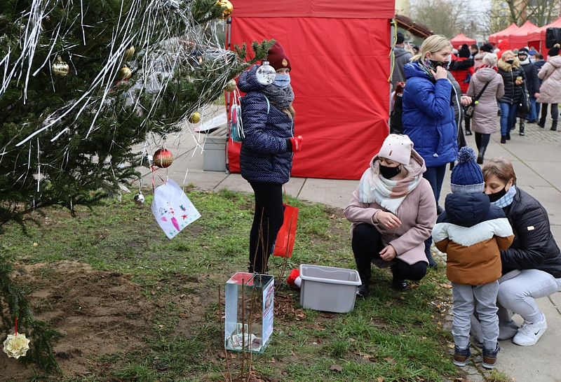 Bombki #bohaterskaInga zawisły na choince