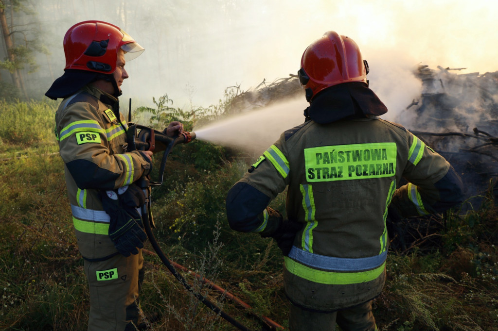 Pożar składowiska gałęzi w okolicy Trzeszczyna