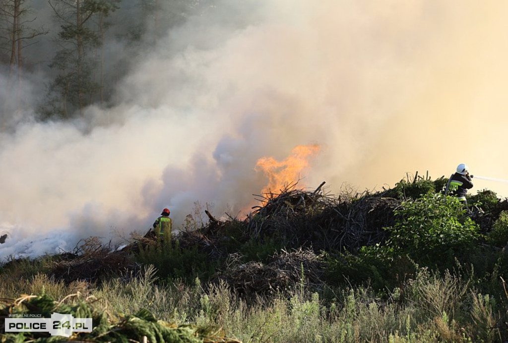 Pożar składowiska gałęzi w okolicy Trzeszczyna