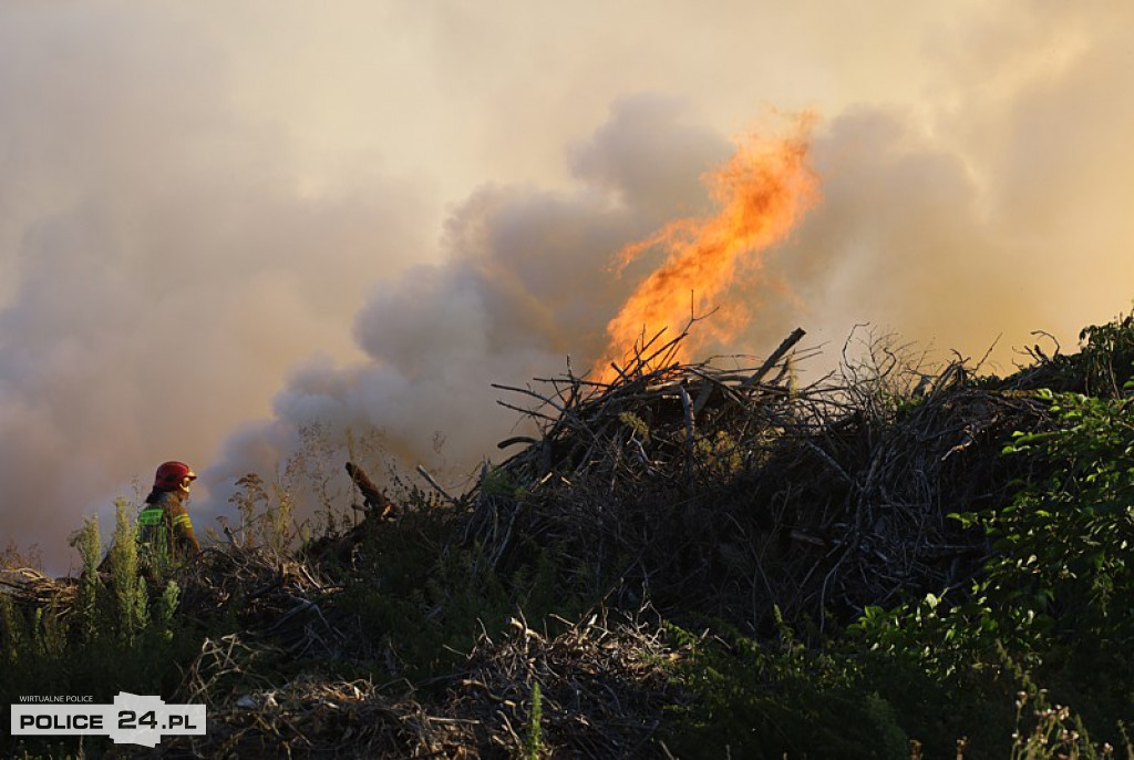 Pożar składowiska gałęzi w okolicy Trzeszczyna