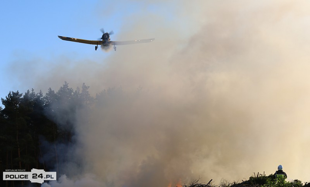 Pożar składowiska gałęzi w okolicy Trzeszczyna
