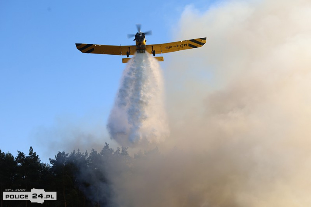 Pożar składowiska gałęzi w okolicy Trzeszczyna