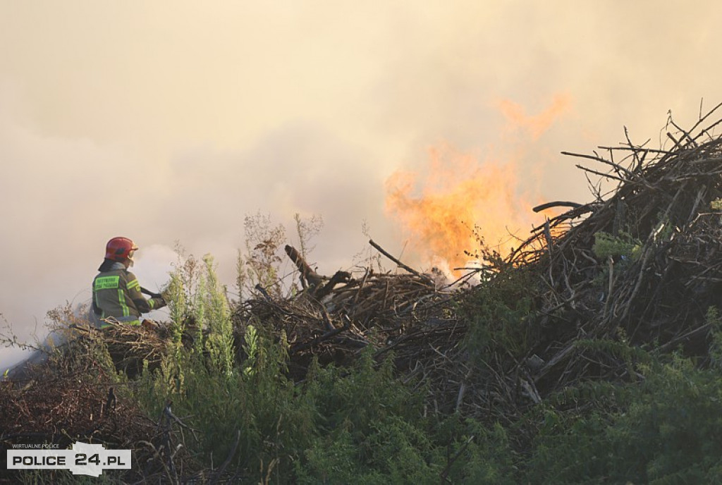 Pożar składowiska gałęzi w okolicy Trzeszczyna