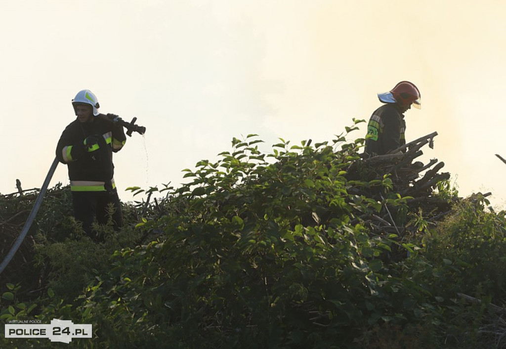 Pożar składowiska gałęzi w okolicy Trzeszczyna