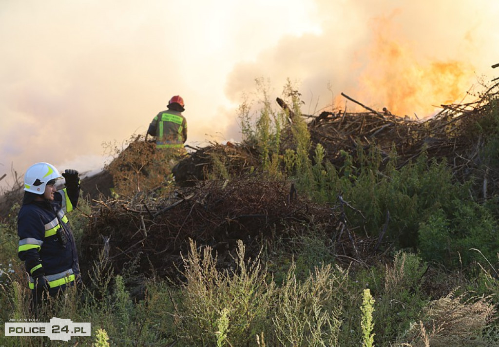 Pożar składowiska gałęzi w okolicy Trzeszczyna