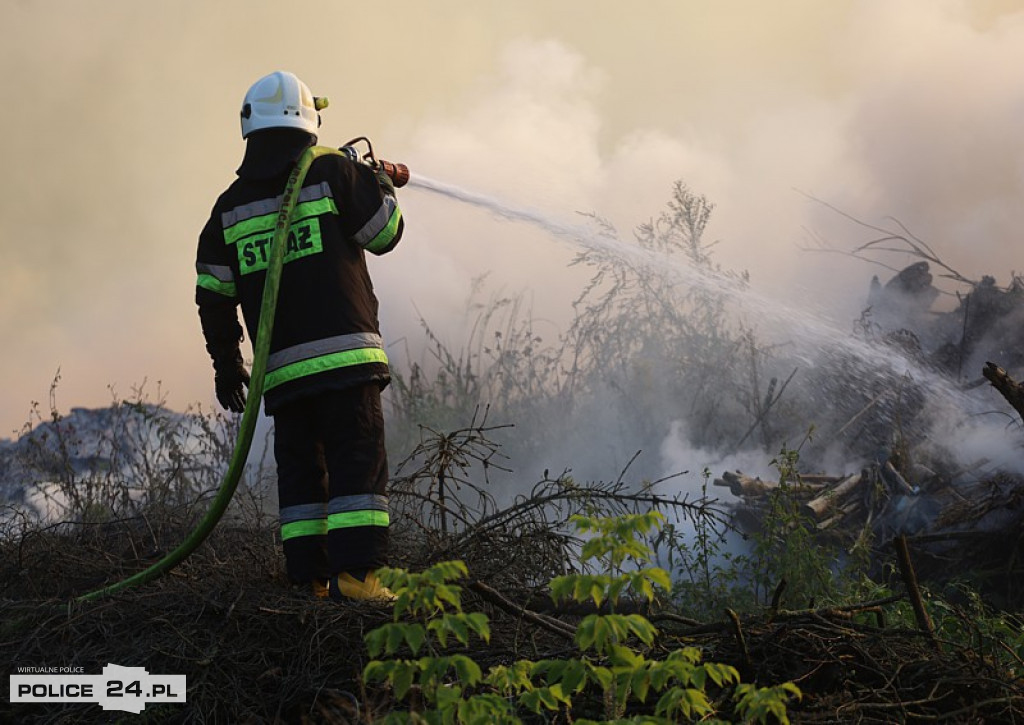 Pożar składowiska gałęzi w okolicy Trzeszczyna