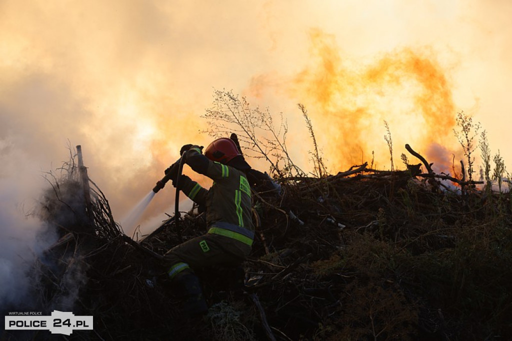 Pożar składowiska gałęzi w okolicy Trzeszczyna