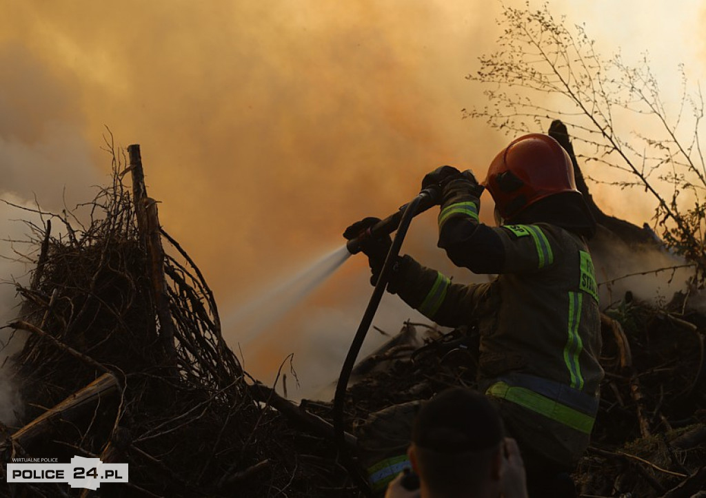 Pożar składowiska gałęzi w okolicy Trzeszczyna