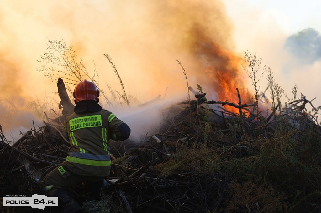 Pożar składowiska gałęzi w okolicy Trzeszczyna