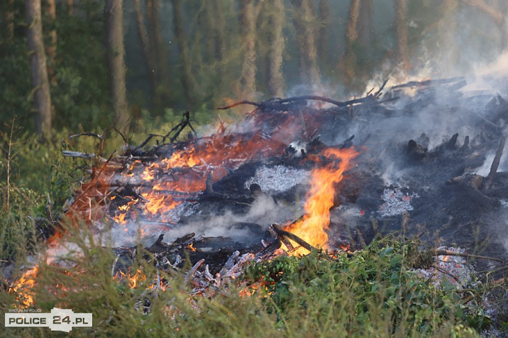 Pożar składowiska gałęzi w okolicy Trzeszczyna